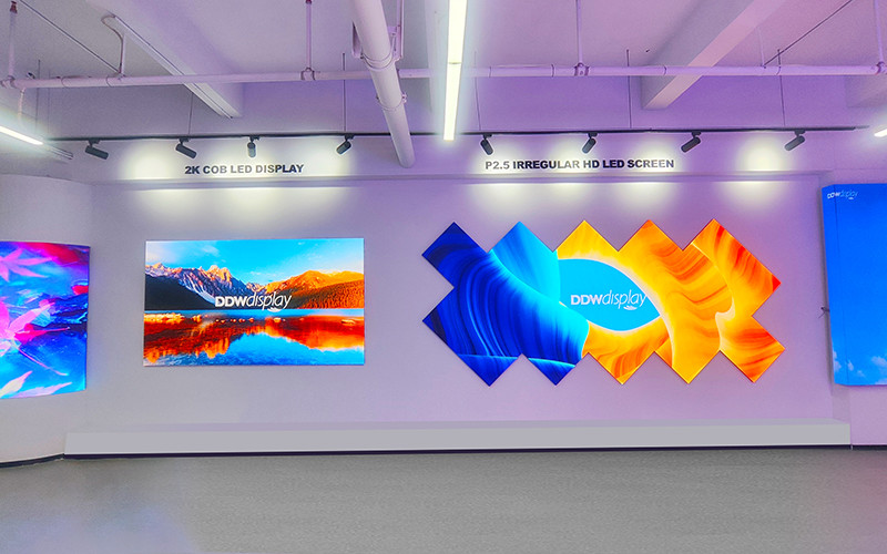 Porcellana SHENZHEN DDW TECHNOLOGY CO.,LTD Profilo Aziendale